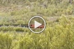 Kirkenes, 29. June 1995